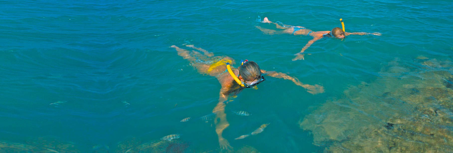 Passeios em Arraial d'Ajuda