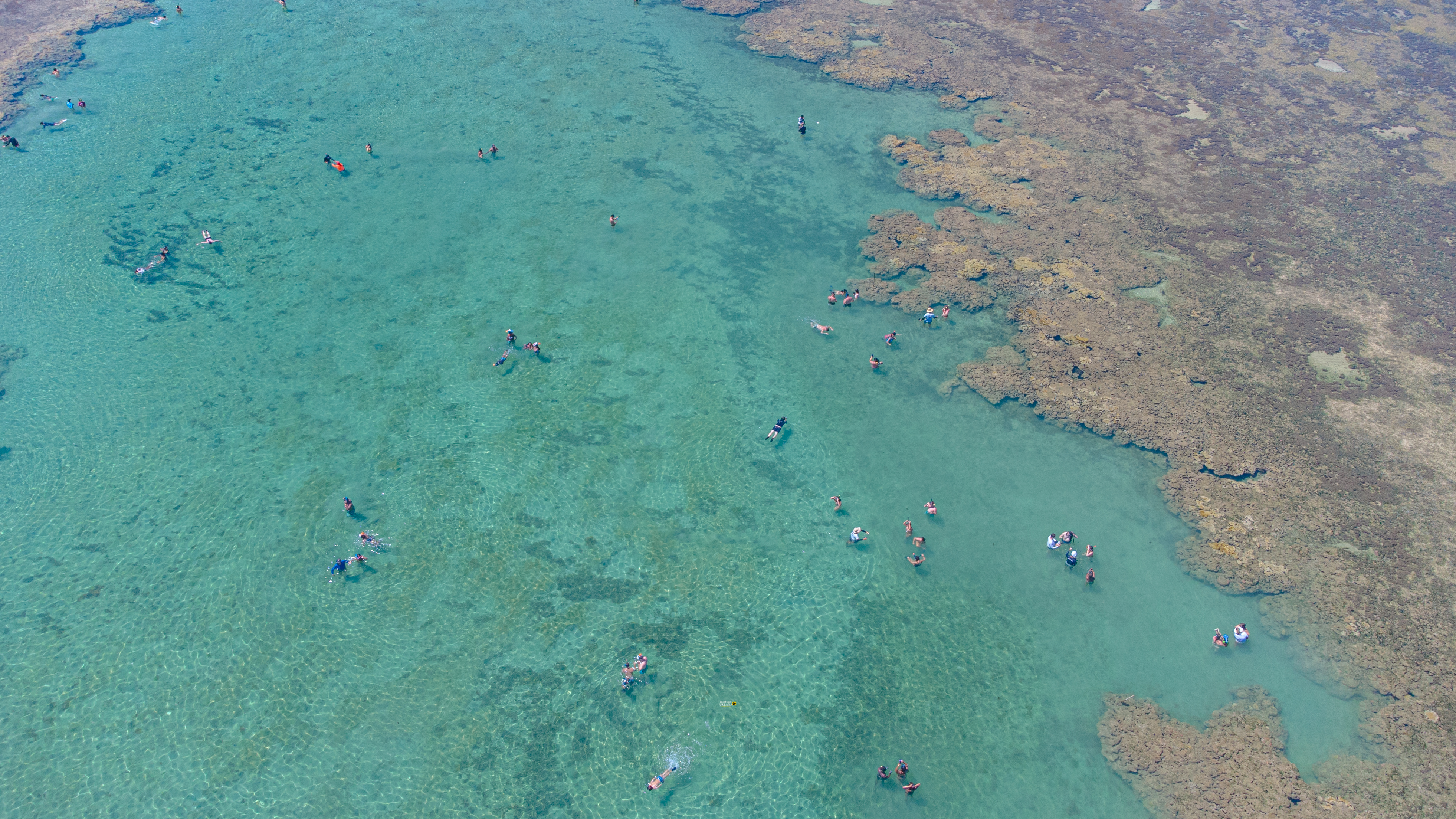 Visitantes fazendo mergulho livre nas águas cristalinas do Recife de Fora, em Arraial d'Ajuda