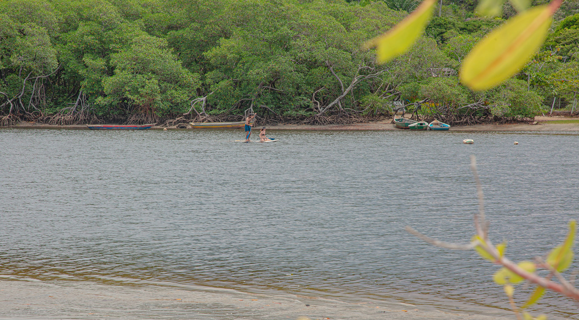 Rio Caraíva calmo, margeado por mangue, com pessoas praticando stand-up paddle